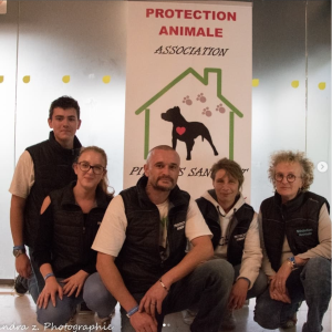 assos membres de l'association pitbull sans toit